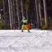 training41von47
